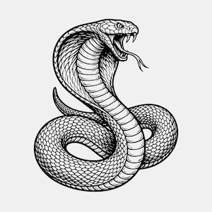 Puede incluir: Una ilustración gráfica en blanco y negro de una cobra en posición enroscada y erguida con la capucha desplegada, la boca abierta, los colmillos expuestos y la lengua bífida extendida. El diseño presenta patrones de escamas detallados y líneas de alto contraste.