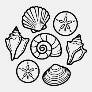 May include: A black and white line art illustration featuring a collection of six distinct seashells and sand dollars. The arrangement includes a fan-shaped scallop, two spiral conch shells, a round sand dollar, a coiled snail shell, and a clam.