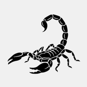 Scorpion Silhouette SVG, Black Scorpion Clipart for Cricut, Tattoo Design PNG