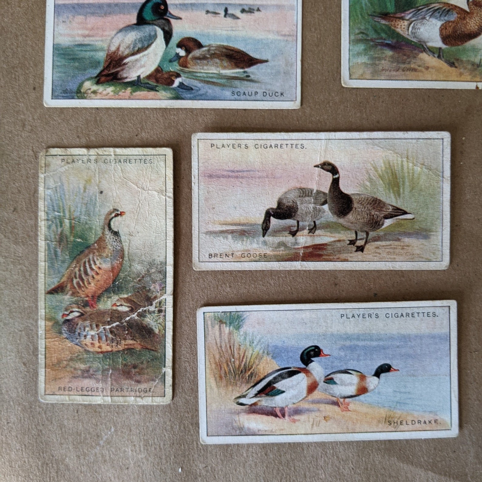 John Players & Sons Cigarette Cards Game Birds and Wild Fowl Etsy John Players & Sons Cigarette Cards Game Birds and Wild Fowl Etsy