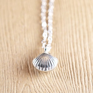 Real clam shell necklace hotsell
