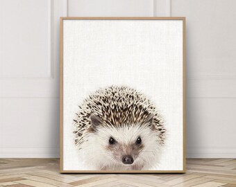 Hedgehog Print, Animals Print, Woodlands Animal, Nursery Wall Art, Hedgehog Photo, Cute Animal, Kids Room Print, Nursery Decor, Printable