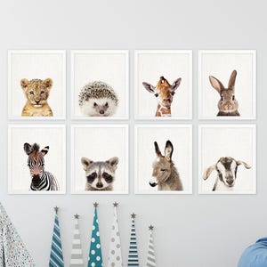 Animals Print, Cute Animals Photo Mix Print Set of 8, Bunny Goat Donkey Lion Zebra, Kids Room Nursery Decor, Modern Printable Wall Art