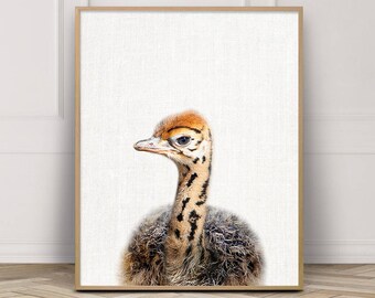 Nursery Wall Art, Ostrich Print, Baby Ostrich, Safari African Bird Print, Animals Print, Nursery Art Print, Kids Room Decor Baby Shower Gift