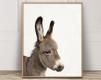 Cute Donkey Photo Print, Nursery Animal Wall Art (Digital Download)