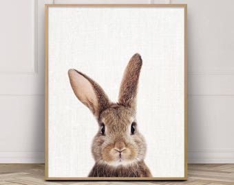 Bunny Print, Rabbit Print, Woodlands Animals Art Photo, Printable Nursery Animal Wall Art, Baby Animal Color Photo Print, Kids Room Decor