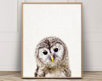 Baby Owl Photo Print, Nursery Wall Art (Digital Download)