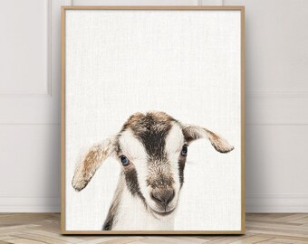 Baby Goat Photo Print, Farm Animal Nursery Art (Digital Download)