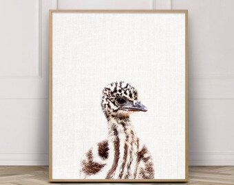 Cute Baby Emu Print, Australian Nursery Wall Art (Digital Download)