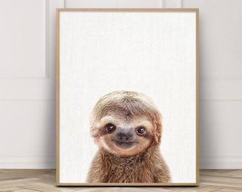 Sloth Print, Cute Baby Sloth Photo, Animals Art Photo, Baby Shower Gift, Nursery Kids Room Wall Art, Animals Printable Digital Color Photo
