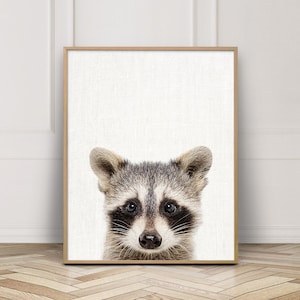 Raccoon Print, Cute Baby Raccoon Photo, Woodlands Animal Print, Raccoon Nursery Wall Art, Cute Animals Photo, Home Kids Room Printable Decor