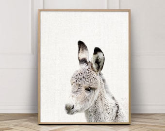 Cute Donkey Photo Print, Nursery Animal Art (Digital Download)