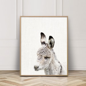 Donkey Print, Cute Donkey Photo, Animals Art Photography, Nursery Animal Printable Wall Art, Baby Animal Color Photo Print, Kids Room Decor
