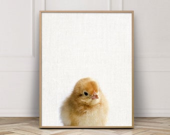 Chick Print, Cute Baby Chick Photo Print, Farm Animals Print, Printable Nursery Baby Shower Animals Wall Art, Digital Kids Room Art Decor