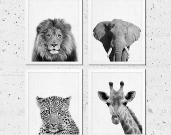 black and white animal pictures to print