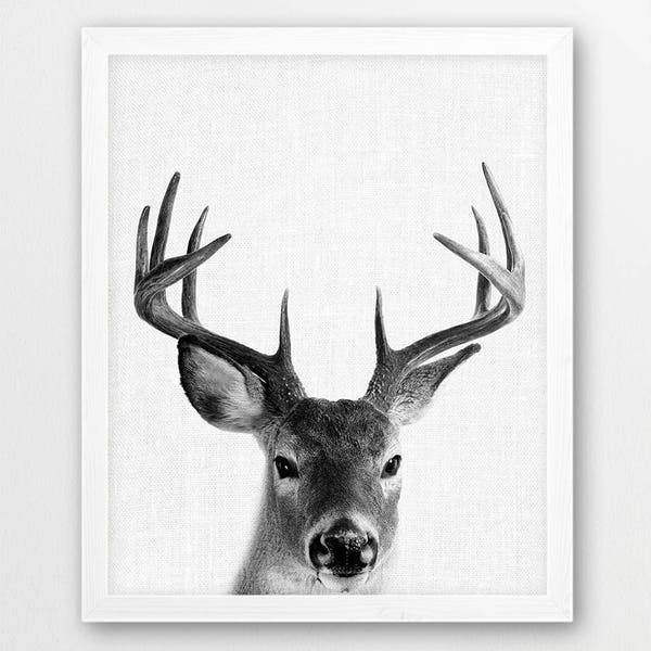 Deer Print, Deer Antlers Photo, Woodlands Animals Photography, Animals Nursery Wall Art, Black White Photography, Kids Room Printable Decor