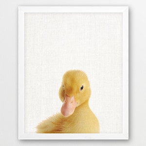 Duckling Photo Print, Farm Animal Nursery Decor (Digital Download)