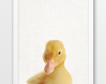 Duckling Photo Print, Farm Animal Nursery Decor (Digital Download)