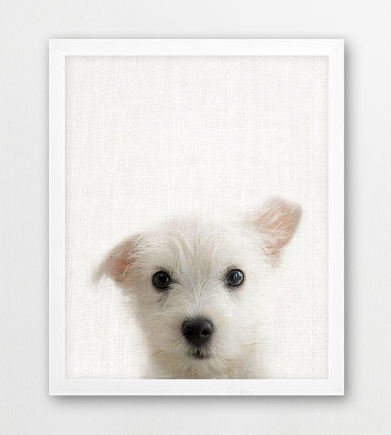 Dog Puppy Print Animals Photo Nursery Animal Wall Art | Etsy