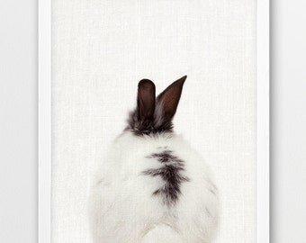 Bunny Print, Rabbit Print, Woodlands Animals Photo, Nursery Animal Wall Art, White Rabbit Tail Color Photo Print, Kids Room Printable Decor