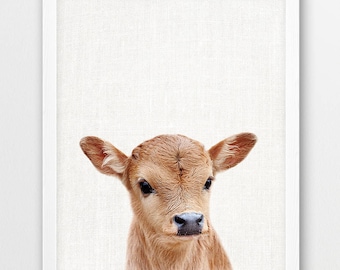 Baby Calf Photo Print, Farm Animal Nursery Decor (Digital Download)