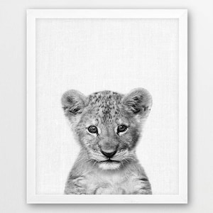 Lion Print, Safari African Animals Photo, Nursery Wall Art, Black White Photography, Cute Baby Lion Cub Photo Print, Kids Room Printable Art
