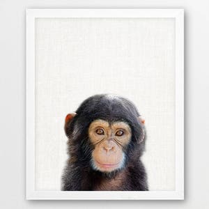 Chimpanzee Print, Cute Baby Monkey Print, African Jungle Animals Art Photo, Nursery Kids Room Animal Wall Art, Animal Printable Color Photo