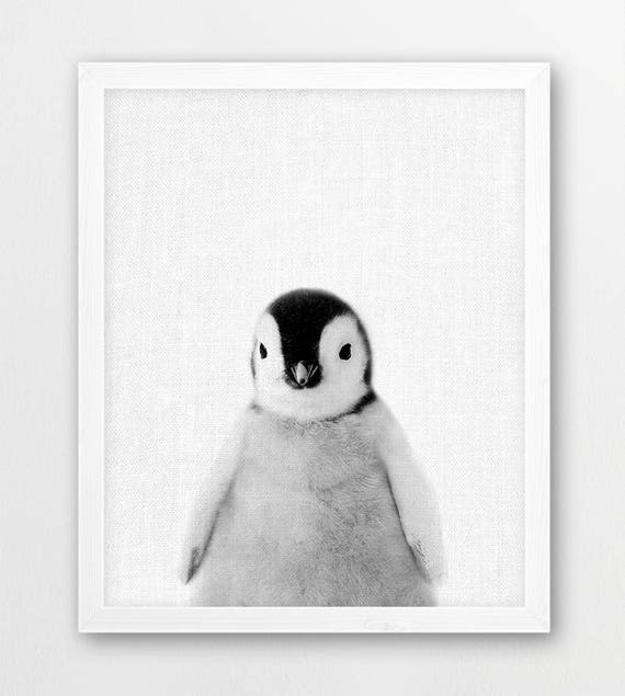 Penguin Print Cute Baby Penguin Photo Black White Etsy Penguin Print Cute Baby Penguin Photo Black White Etsy