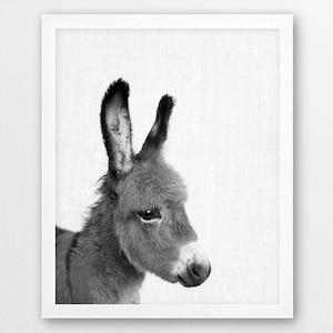 Donkey Print, Donkey Photo, Animals Art Photo, Baby Shower Gift, Nursery Animal Wall Art, Black White Photography, Kids Room Printable Decor