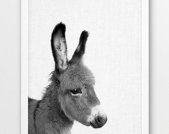 Donkey Photo Print, Black and White Animal Art, Nursery Decor (Digital Download)