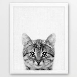 Cat Print, Cute Little Kitten Photo, Animals Photography, Nursery Baby Animals Wall Art, Black White Animal Print, Kids Room Printable Decor