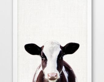 Cow Print, Calf Photo, Farm Animals Photography, Cute Calf Baby Cow, Nursery Animals Printable Wall Art, Animal Color Print, Kids Room Decor