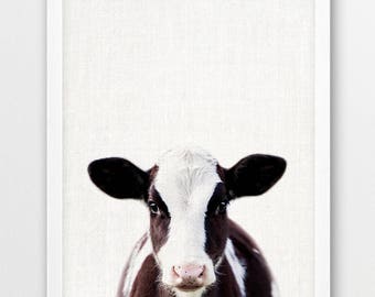 Cute Calf Photo Print, Farm Animal Photography, Nursery Decor (Digital Download)