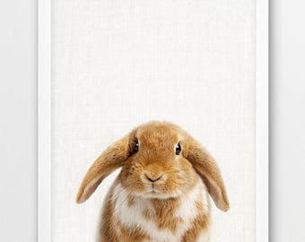 Cute Bunny Photo Print, Nursery Wall Art (Digital Download)