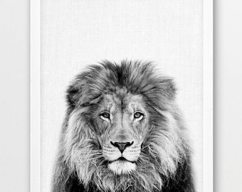 Lion Portrait Print, Black and White Safari Animal Photography (Digital Download)