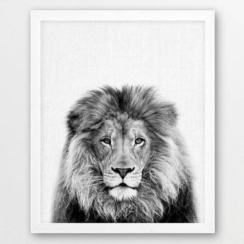 Lion Print Black and White Lion Poster Lion Safari Wall Art Etsy