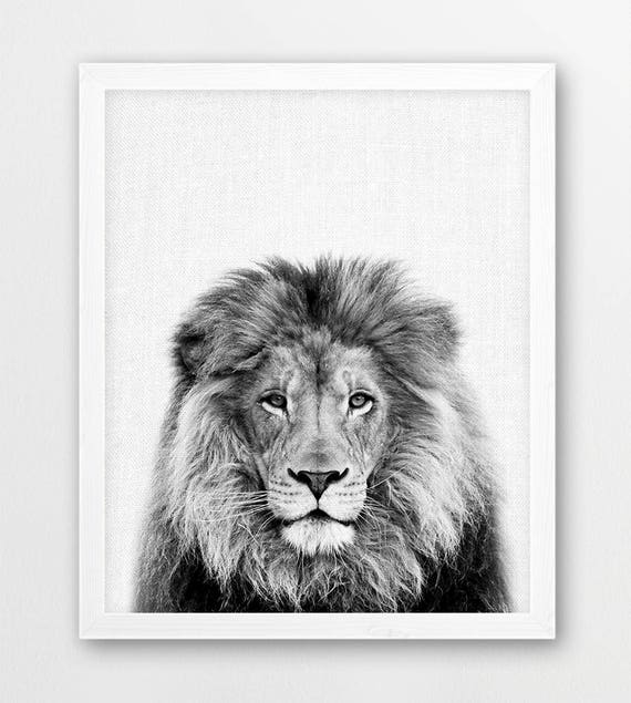 Lion Print, Lion Photo, Safari African Animals Photography, Lions Nursery Wall Art, Black White Photo Print, Kids Room Printable Home Decor