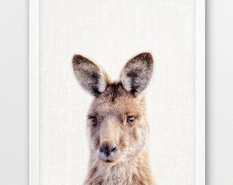 Wydruk fotografii australijskiego kangura, dekoracja ścienna do pokoju dziecięcego ze zwierzętami (pobranie cyfrowe)