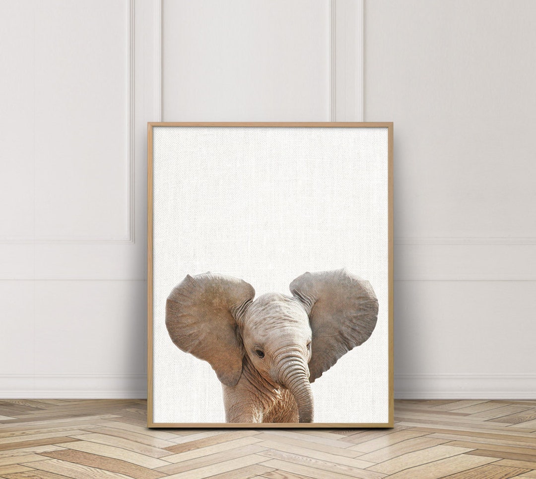 Elephant Print, Baby Elephant Photo, Africa Safari Animals, Nursery ...