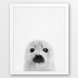 Nursery Decor, Nursery Wall Art, Seal Print, Cute Baby Seal Photo, Snow Animals, Winter Photo, Baby Shower Wall Art, Black White Animals Art