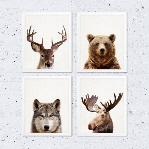 Woodland Nursery Decor Animals Print Set of Four Bear Moose - Etsy