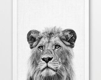 May include: Black and white photograph of a lion's face. The lion is looking directly at the camera with a serious expression. The image is cropped to show only the lion's head and neck.