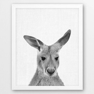Kangaroo Print, Kangaroo Photo, Australian Animals Art Photo, Nursery Animals Wall Art, Animal Black White Photo, Kids Room Printable Decor