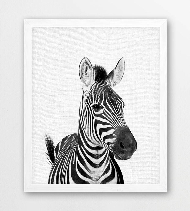 Zebra Print Safari African Savanna Photo Nursery Wall Art | Etsy