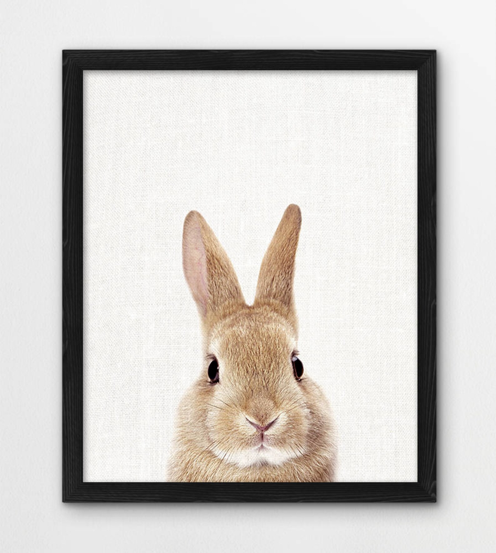 Bunny Print Rabbit Print Woodlands Animals Art Photo | Etsy