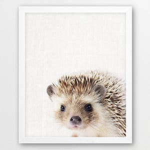 Hedgehog Print, Hedgehog Photo, Woodlands Animals Print, Nursery Wall Art, Cute Animals Photo, Kids Room Print, Nursery Art Decor, Printable