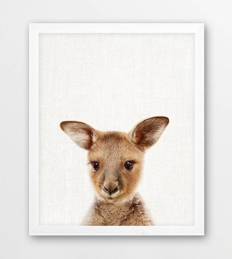 Australian Animals Nursery Decor Animals Print Set of 4 Baby Etsy