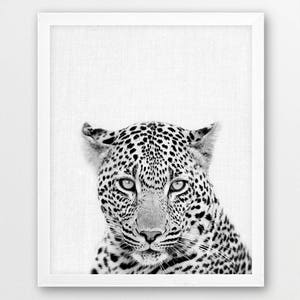 Leopard Print, Leopard Photo Print, African Safari Animals Black White Photography, Nursery Animal Wall Art, Kids Room Printable Art Decor