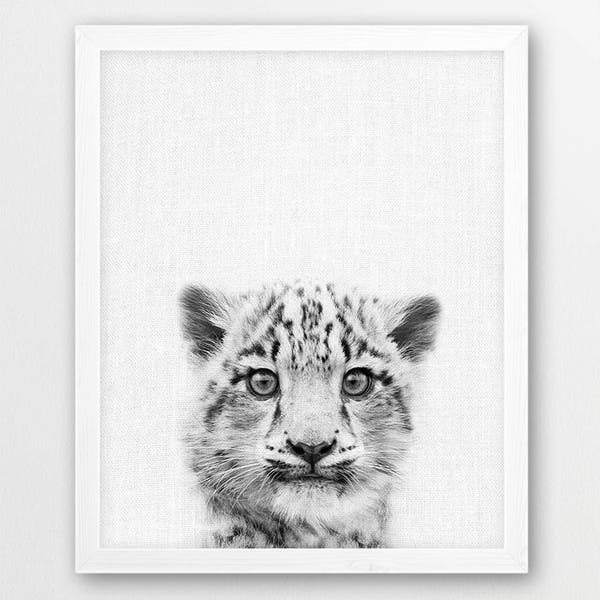 Snow Leopard Print, Cute Snow Leopard Cub Photo Print, Mountain Animals Black White Photography, Nursery Animals Wall Art, Kids Room Decor