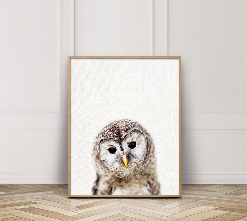 May include: A close-up of a brown and white owl with yellow eyes. The owl is looking directly at the camera. The background is a white canvas.